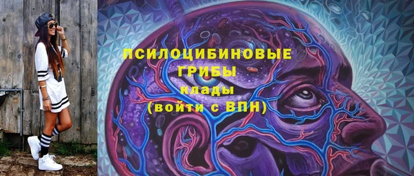 mix Саяногорск